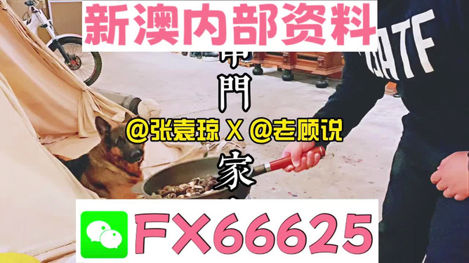 新澳門精準(zhǔn)資料大全管家婆料|適用釋義解釋落實(shí),新澳門精準(zhǔn)資料大全與管家婆料，適用釋義、解釋及落實(shí)