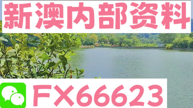 新澳精準(zhǔn)資料免費提供網(wǎng)站|用戶釋義解釋落實,新澳精準(zhǔn)資料免費提供網(wǎng)站，用戶釋義、解釋與落實