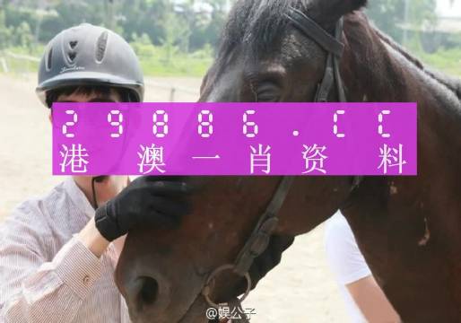 澳門(mén)今晚必中一肖一碼準(zhǔn)確9995|應(yīng)對(duì)釋義解釋落實(shí),澳門(mén)今晚必中一肖一碼準(zhǔn)確9995——應(yīng)對(duì)釋義、解釋與落實(shí)的探討（不少于1514字）