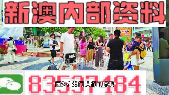 澳門2024年精準資料大全|全新釋義解釋落實,澳門2024年精準資料大全與全新釋義，深度解讀與落實策略